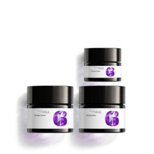 The Renewal Collection